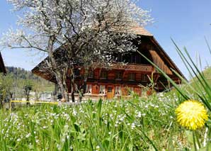 Visit the beekeeper in the emmental