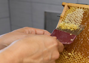 Visit to beekeeper