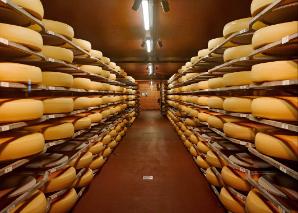 Cheeses in the Emmental