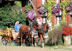 Fondue, barbecue and carriage rides in the Emmental