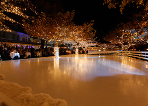 Ice skating with dinner at Lake Zurich
