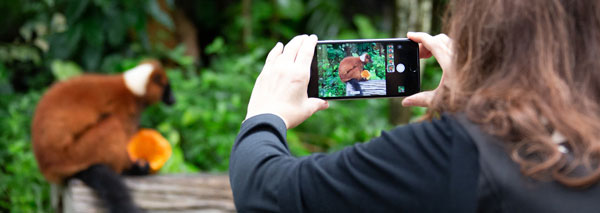 Smartphone photo workshop at Zurich Zoo