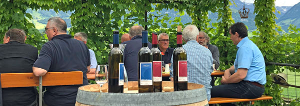 Visite du vignoble avec dégustation de vin chez le vigneron