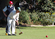 A game of croquet on the polo pitch