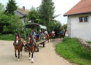 Carriage ride Jura