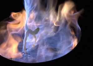 Cooking over the fire at a traditional oven house