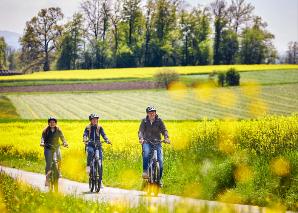 Achtsamkeitstrail – formation et expérience dans la nature