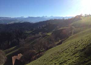 Alpaca trekking in the Emmental valley