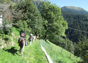 A dos de cheval à travers le Tessin