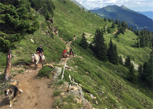 A dos de cheval à travers le Tessin