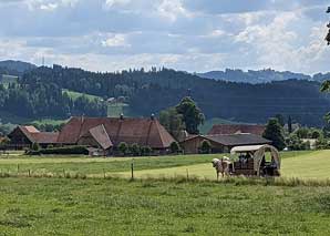 Visit the beekeeper in the emmental