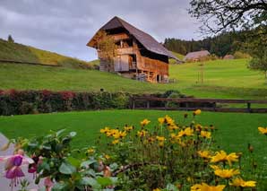 Visit the beekeeper in the emmental