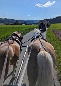 On Gotthelf's Trail