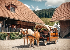 Mit Ross und Wagen zum Emmentaler Grillplausch