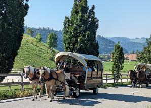 Balade en calèche pour déguster des grillades en Appenzell