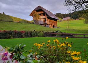 An Emmental grill by horse and cart