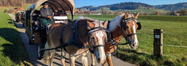 Balade en calèche pour déguster des grillades en Appenzell