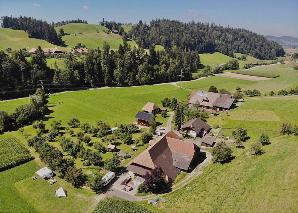 The funniest farm games in the Emmental