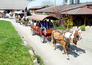 Bauernhofspass mit Essen im Tenn