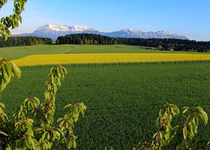 Bauernhofspass mit Essen im Tenn