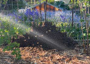 L'expérience des abeilles sur les toits de Zurich