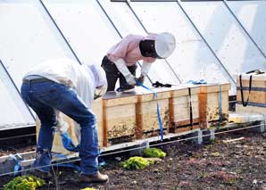 Bee experience above the rooftops of Zurich