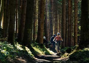 Excursion à vélo au départ de Lucerne