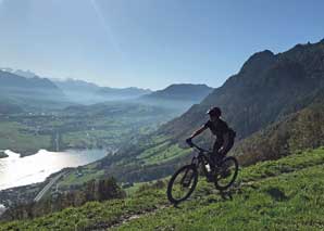 Excursion à vélo au départ de Lucerne