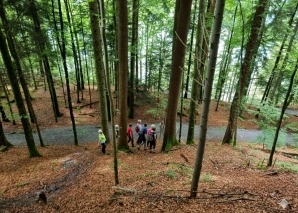 Achtsamkeitstraining im Wald