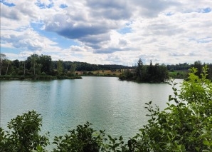 Tour in the Nussbaumersee nature reserve