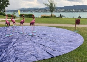 Flamingo Ringo – das Tierspiel für Teams