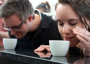 Dégustation sensorielle à Soleure