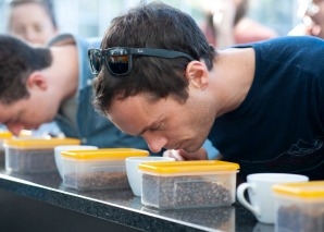 Dégustation sensorielle à Soleure