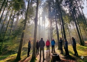 Achtsamkeitstraining im Wald