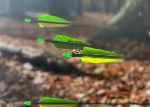 Bogenschiessen im Team