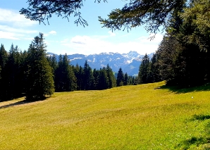 E-bike riding training in Appenzellerland