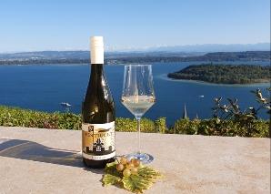 Randonnée viticole au bord du lac de Bienne avec dégustation