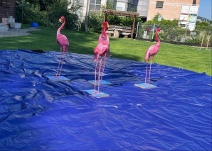 Flamingo Ringo – das Tierspiel für Teams