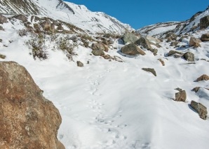 Bergwanderung mit Wildtierbeobachtung