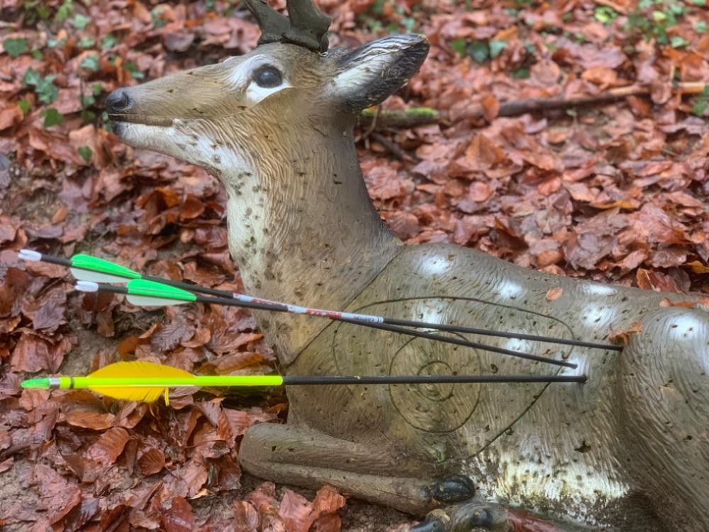 Bogenschiessen im Team