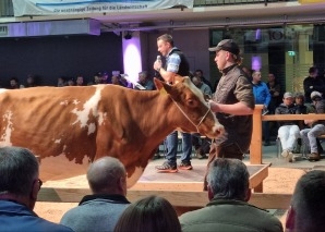Commerce de vaches - vivre de près la vente aux enchères de bétail dans l'Emmental