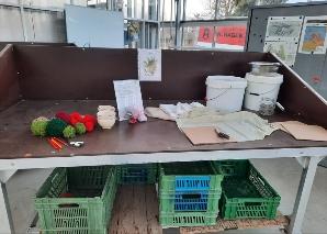 Atelier sur les herbes au lac de Constance