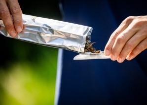 Dégustation sensorielle à Soleure