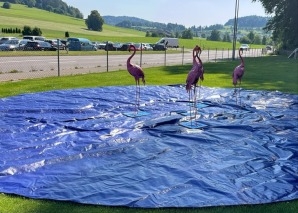 Flamingo Ringo – das Tierspiel für Teams