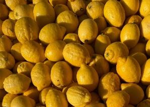 Fabriquer soi-même du limoncello en équipe