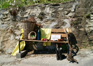 Randonnée viticole, dégustation et jeu de devinettes au bord du lac Léman