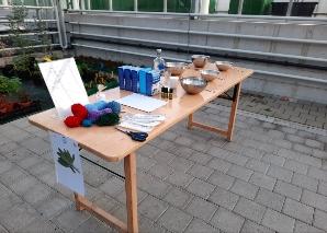 Atelier sur les herbes au lac de Constance