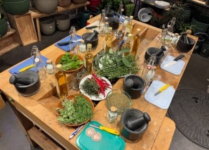 Kräutersalz und -essig herstellen