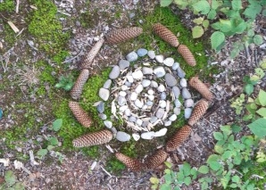 Achtsamkeitstraining im Wald