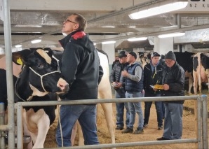 Commerce de vaches - vivre de près la vente aux enchères de bétail dans l'Emmental